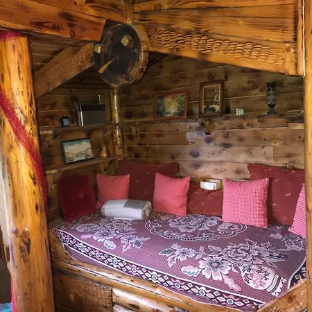 Brvnare Dolic Apartment