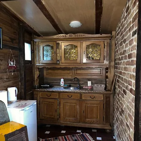 Brvnare Dolic Apartment