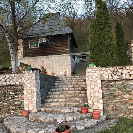 Brvnare Dolic Apartment