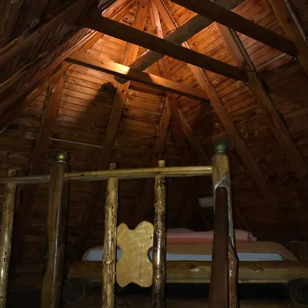 Apartment Brvnare Dolic