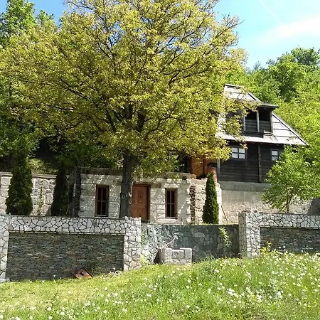 Apartment Brvnare Dolic *
