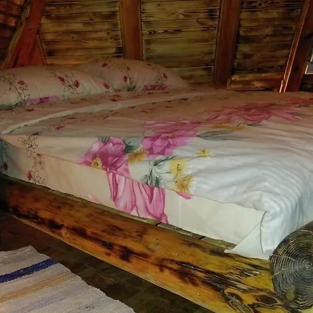 Apartment Brvnare Dolic *