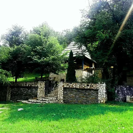Brvnare Dolic *
